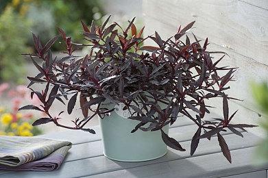 《幽灵线：东京》更新中文宣传片 3月25日正式发售