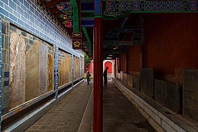 《幻兽帕鲁》一开始只有4名开发者 官方计划加入PvP和副本Boss